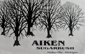 Aiken Sugarbush