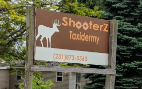 Shooterz Taxidermy